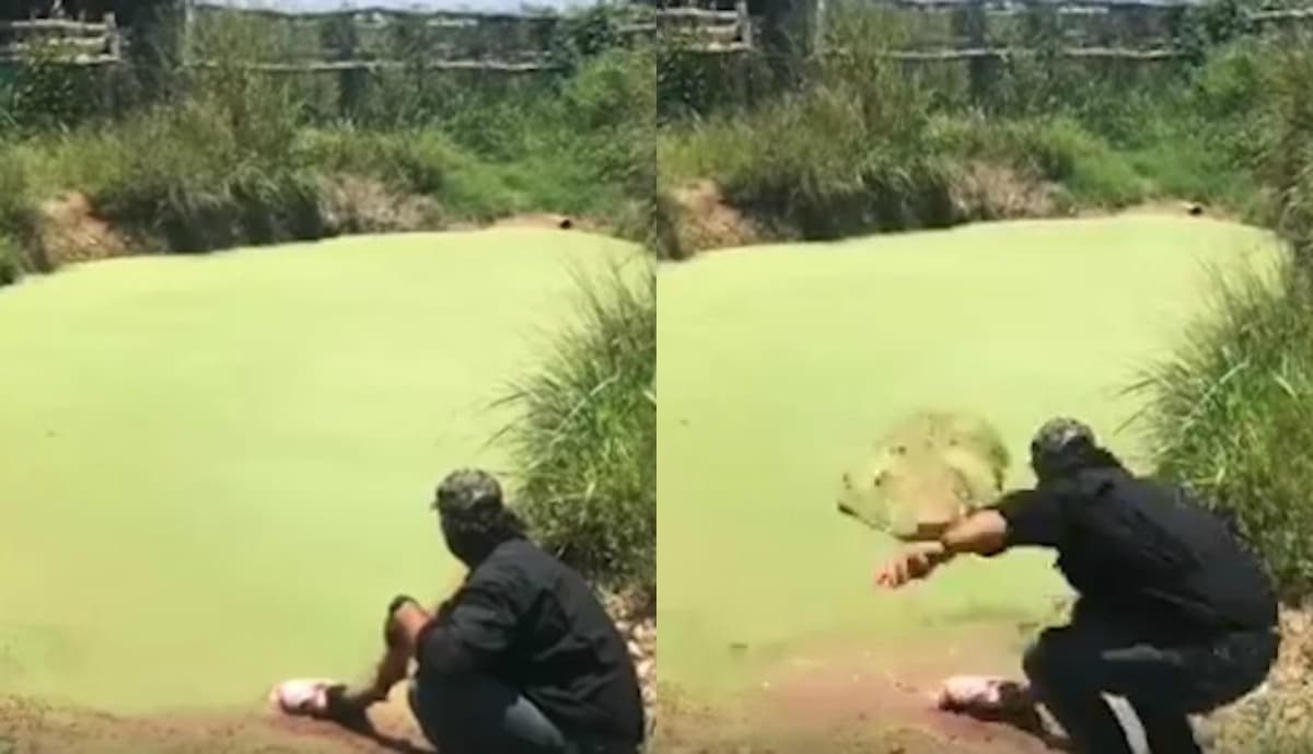 Intentó llamar la atención de un pez y terminó encontrándose cara a cara con aterradora criatura