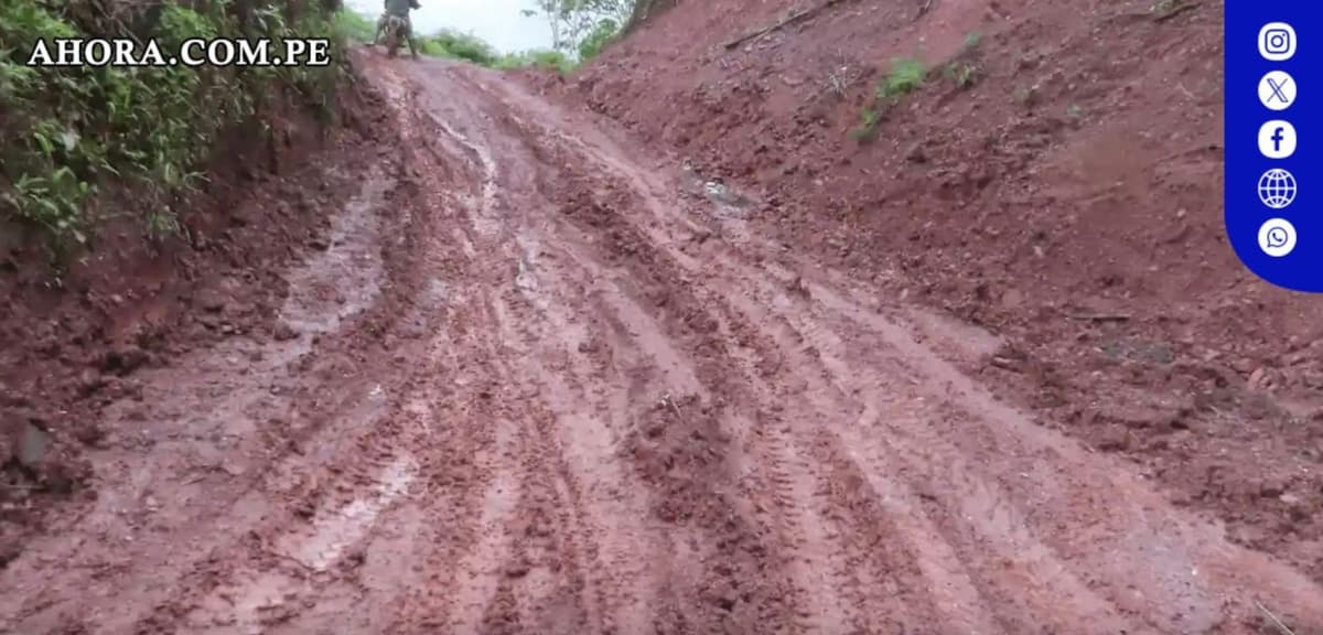 Carreteras ilegales amenazan biodiversidad en Bosque de Protección San Matías San Carlos