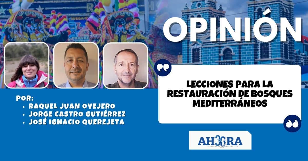 Lecciones para la restauración de bosques mediterráneos