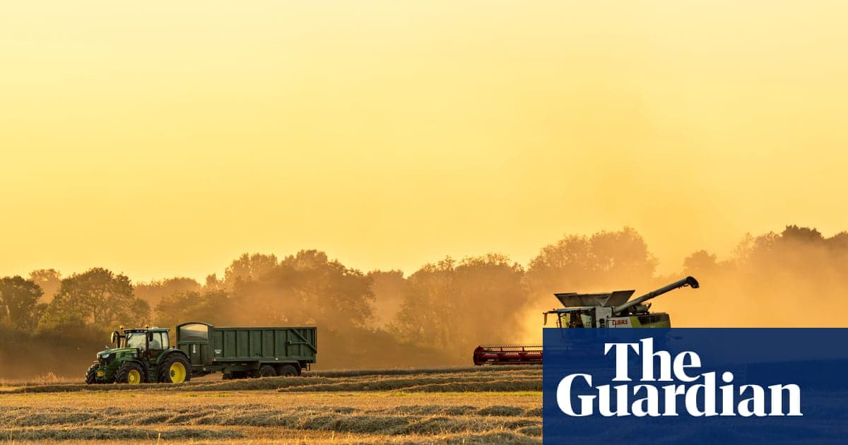Reino Unido debe asegurar comida por guerra y clima, advierte experto