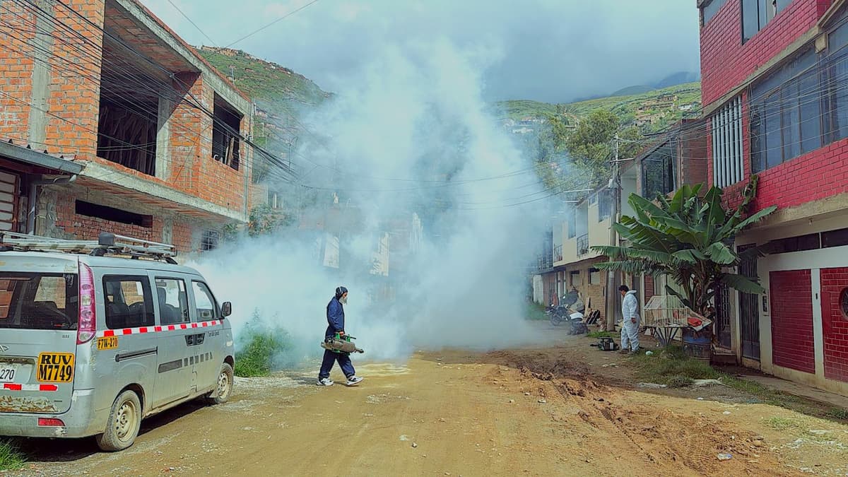 Salud intensifica fumigación tras desborde del Huallaga y riesgo sanitario en Huánuco
