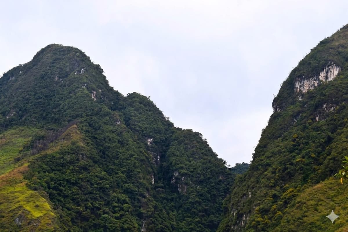 Activan mesa multisectorial tras detectar daños críticos en el bosque Monte Verde