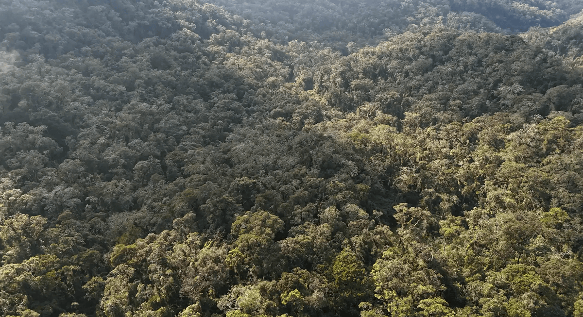 Fiscalía y Policía alistan intervención en Chaglla para frenar invasiones en área de Monteverde