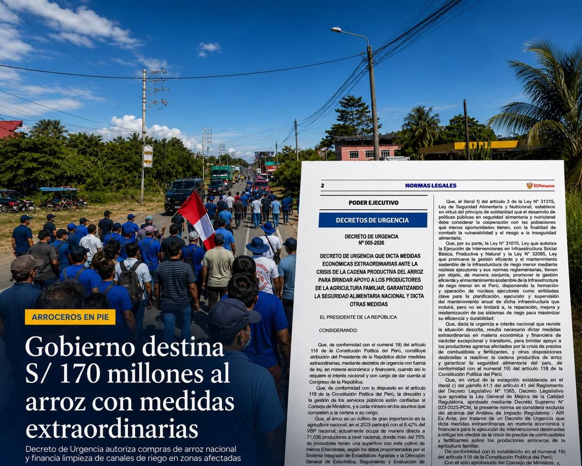 Gobierno destina S/ 170 millones al arroz con compras directas y limpieza de canales