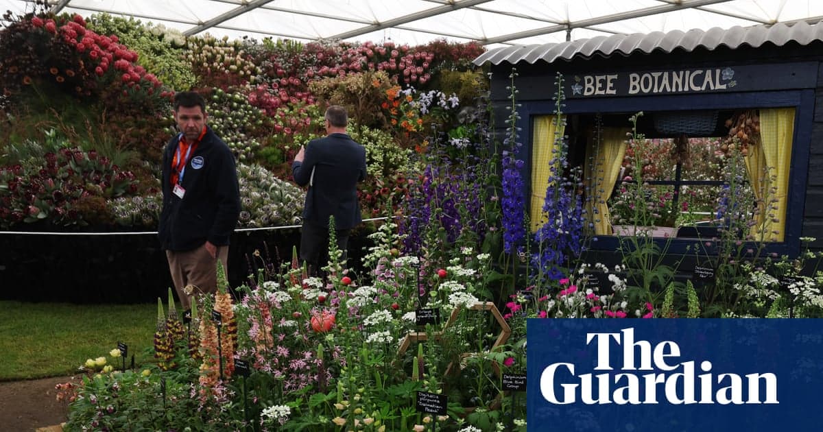 Chelsea: Críticas conservadoras por uso de turba en su feria