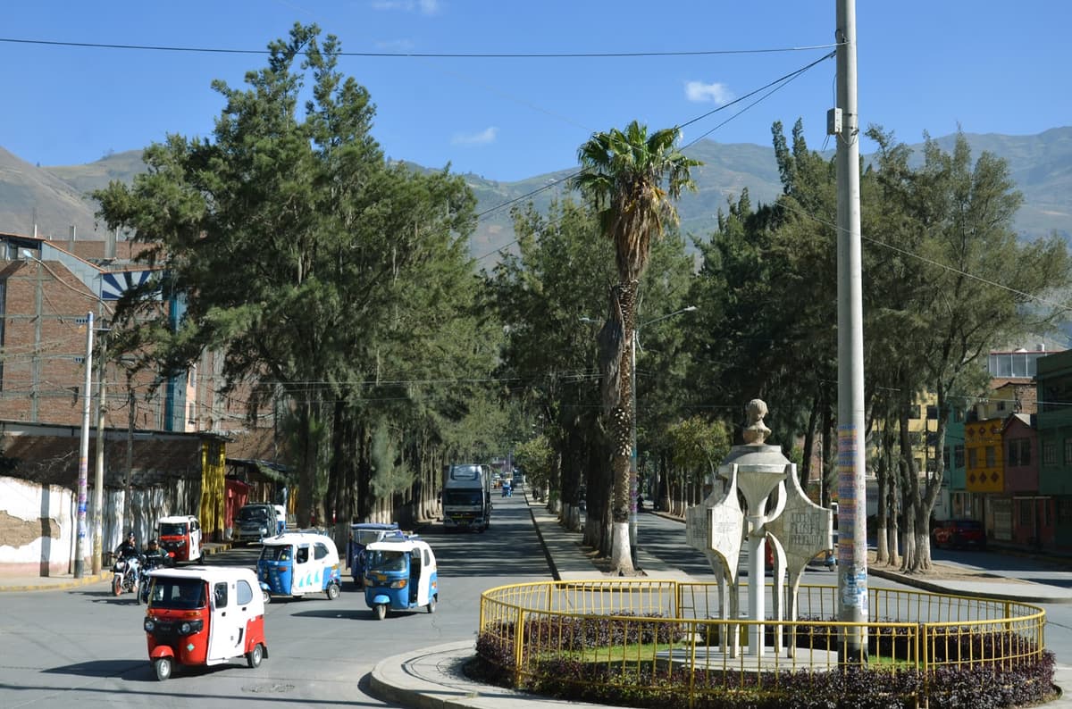Alameda de la República bajo alerta: S/26,6 millones, 400 árboles y una empresa adjudicada repetida