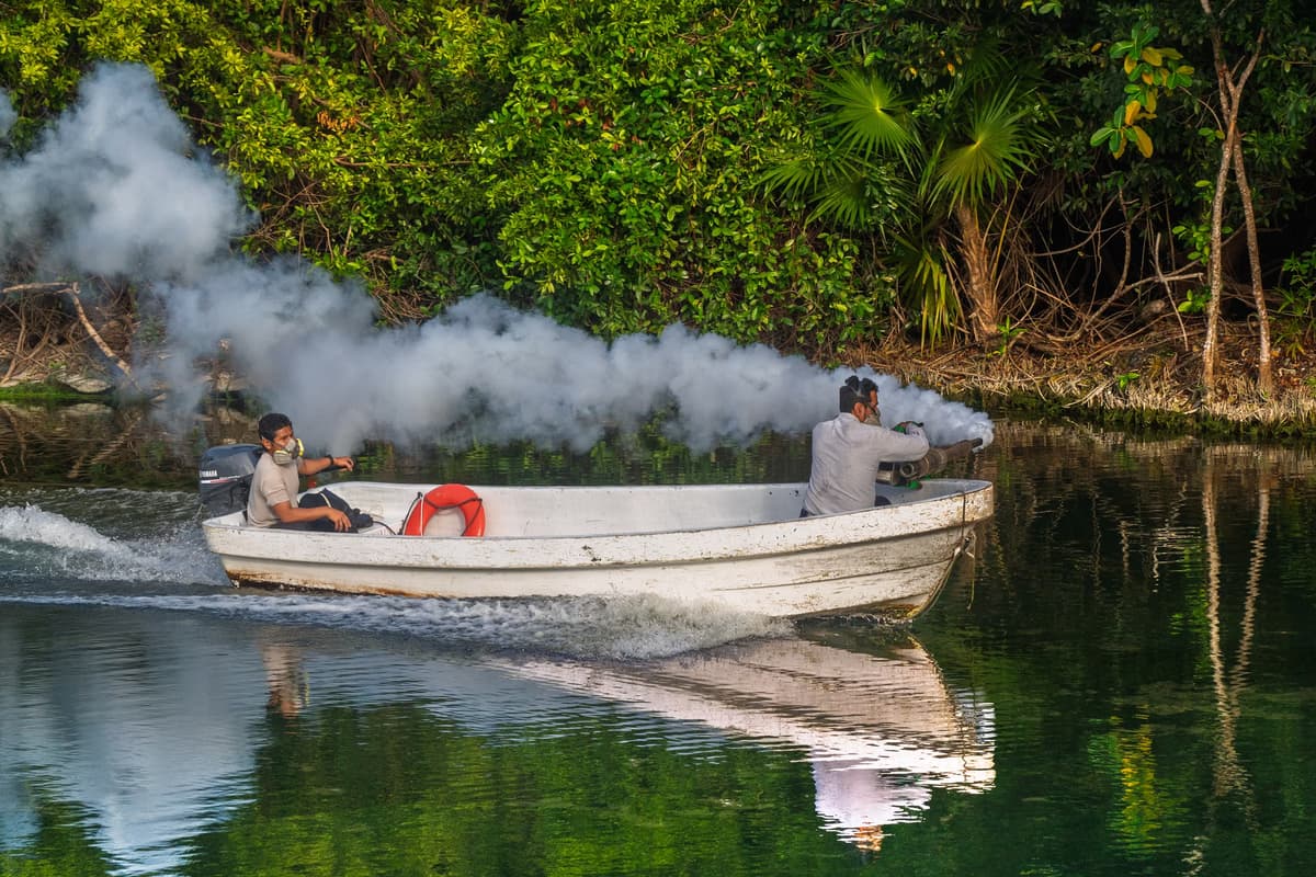 Inician campaña “San Juan Sin Dengue” para proteger a visitantes en Tingo María