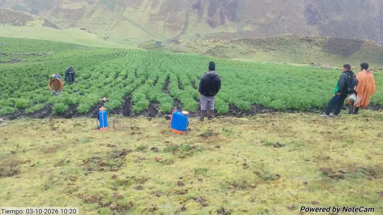 Huamalíes ajusta proyecto de S/ 37 millones para asegurar obras pendientes