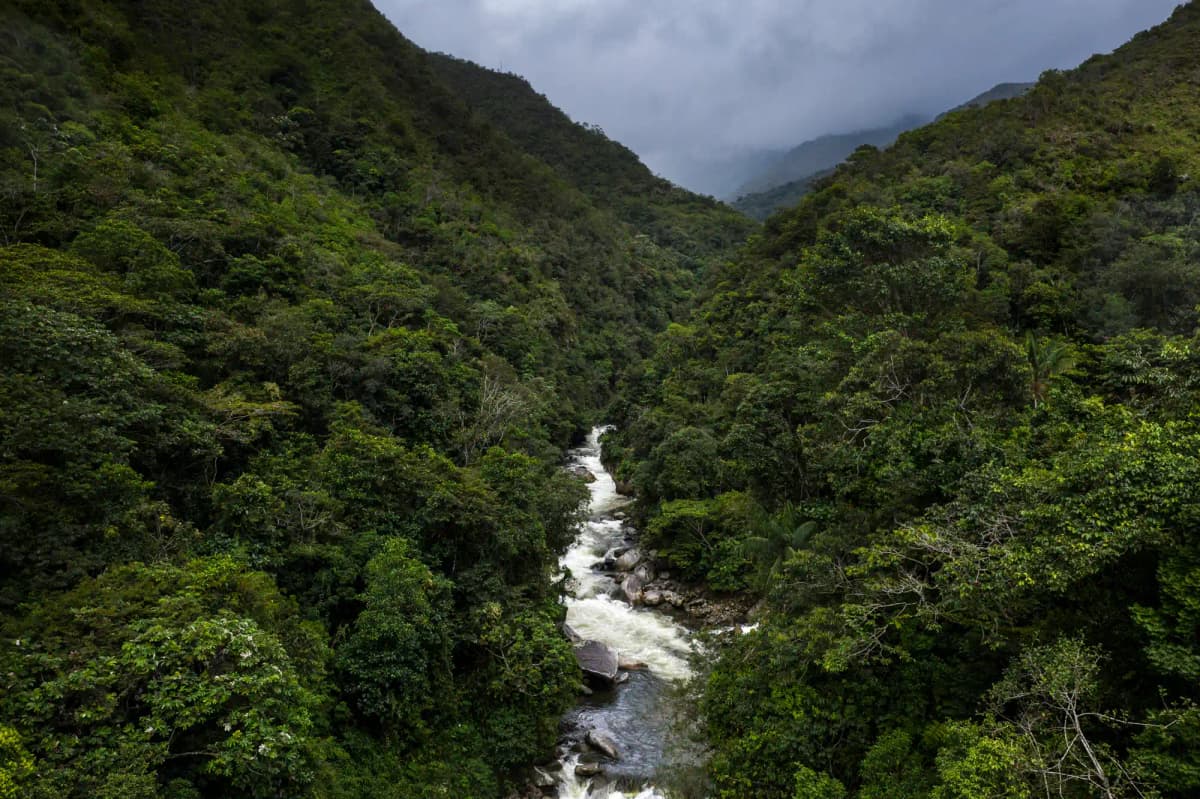 Minería ilegal e invasiones amenazan el Área de Conservación Regional Carpish
