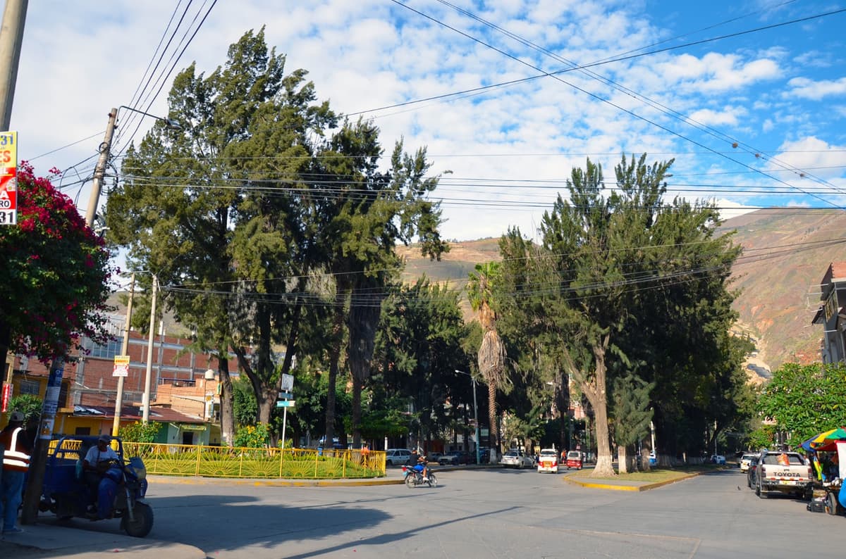 Hevert Laos advierte colapso ambiental por tala de árboles en la Alameda