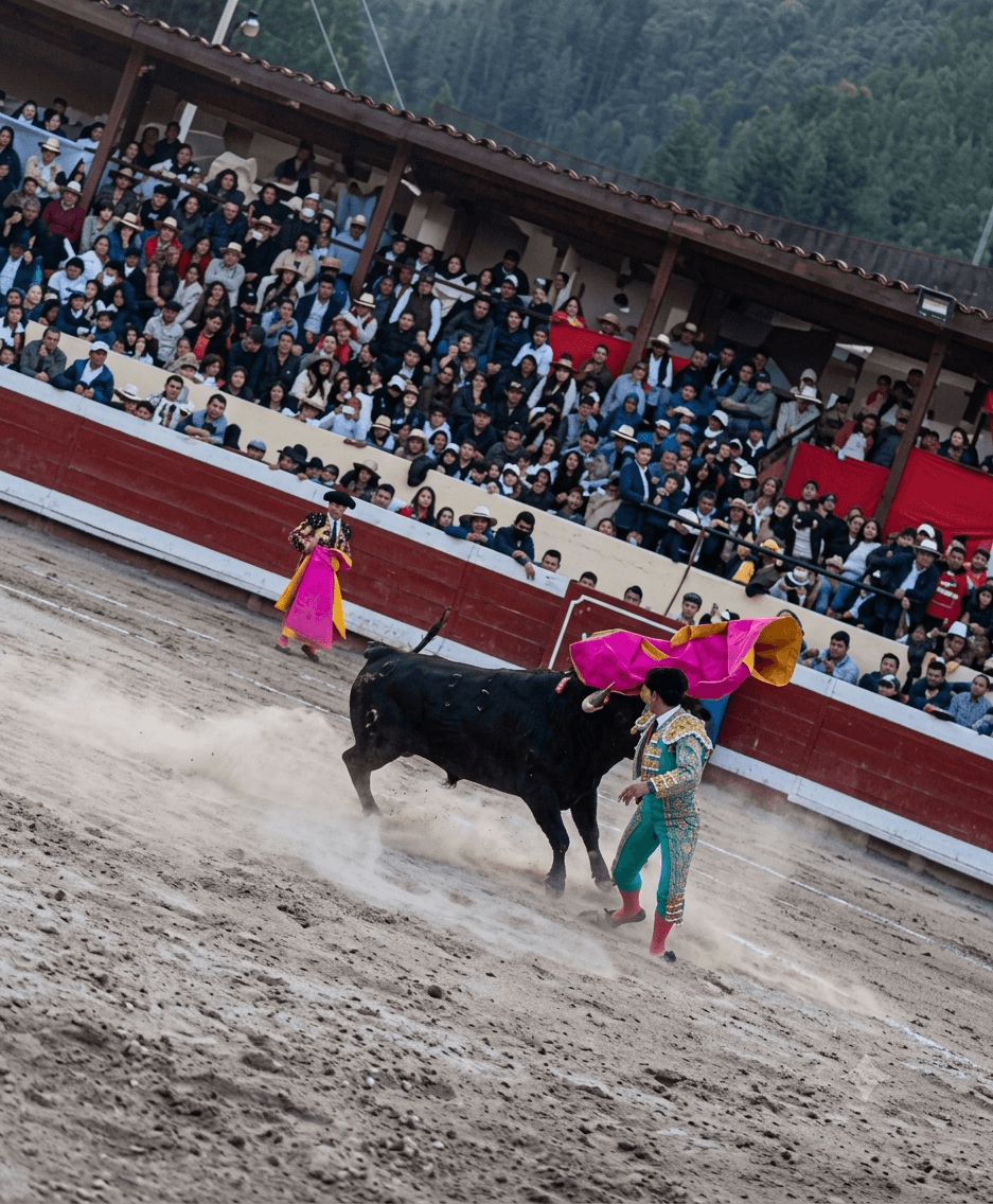 Torero español sufre grave cornada en el cuello durante corrida en Huallanca