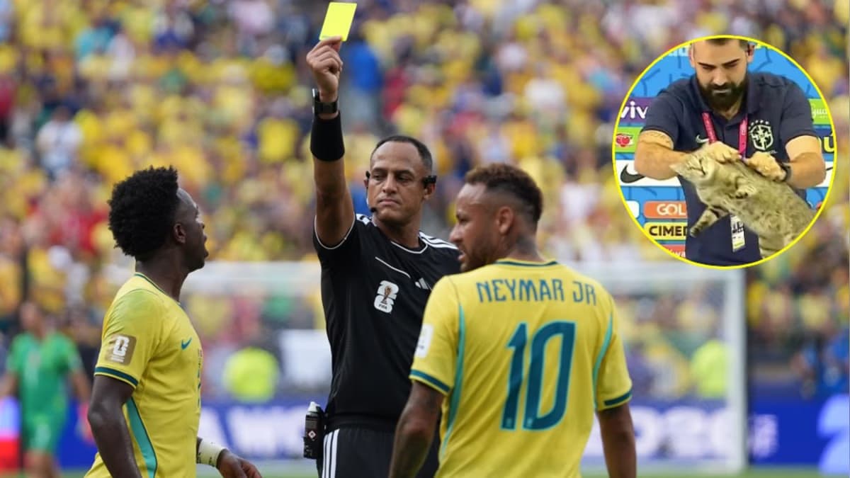 La 'maldición del gato' resurgió tras eliminación de Brasil ante Noruega en el Mundial 2026