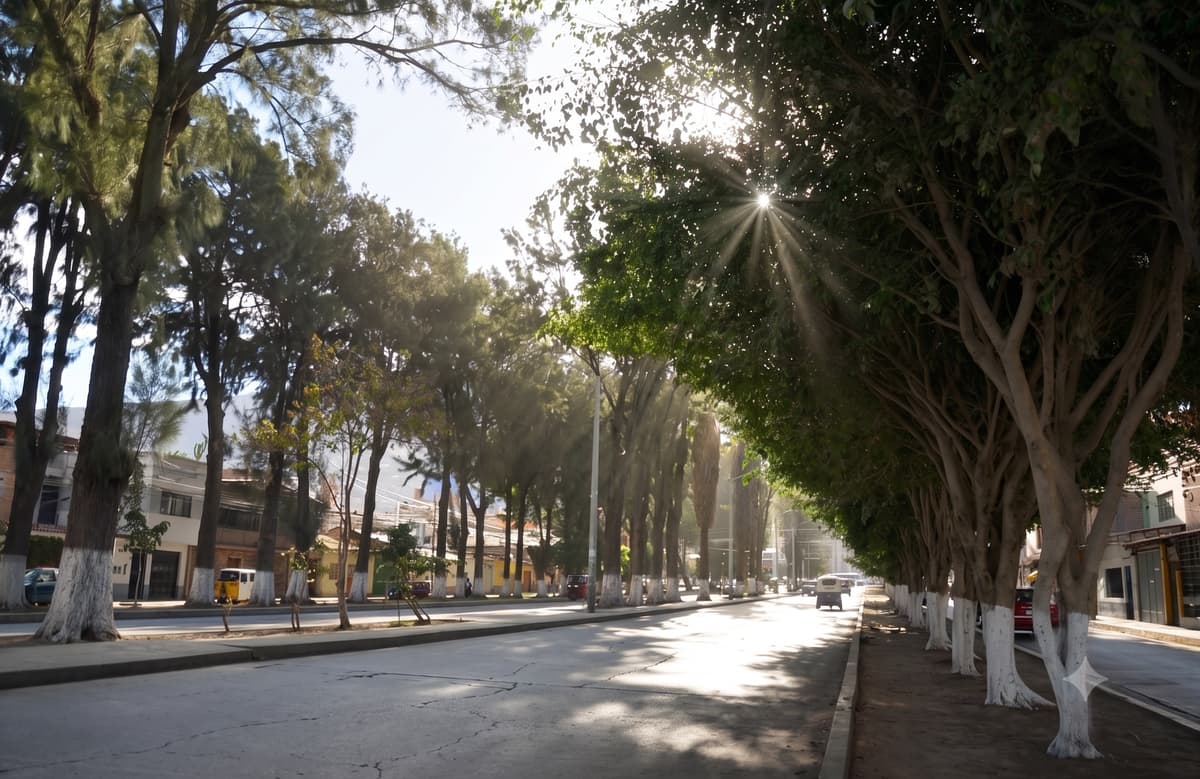 Incertidumbre ecológica paraliza el debate técnico de la obra en la Alameda