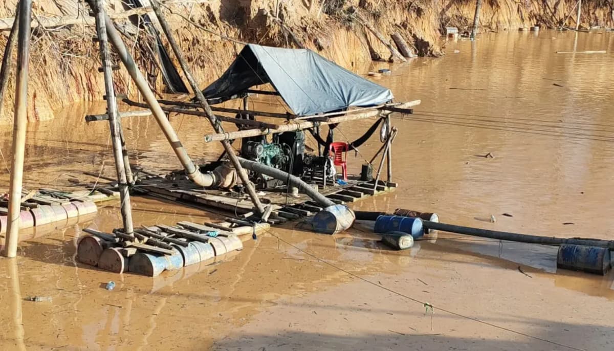 Minería ilegal deja fauna muerta y 145 campamentos destruidos en Tambopata