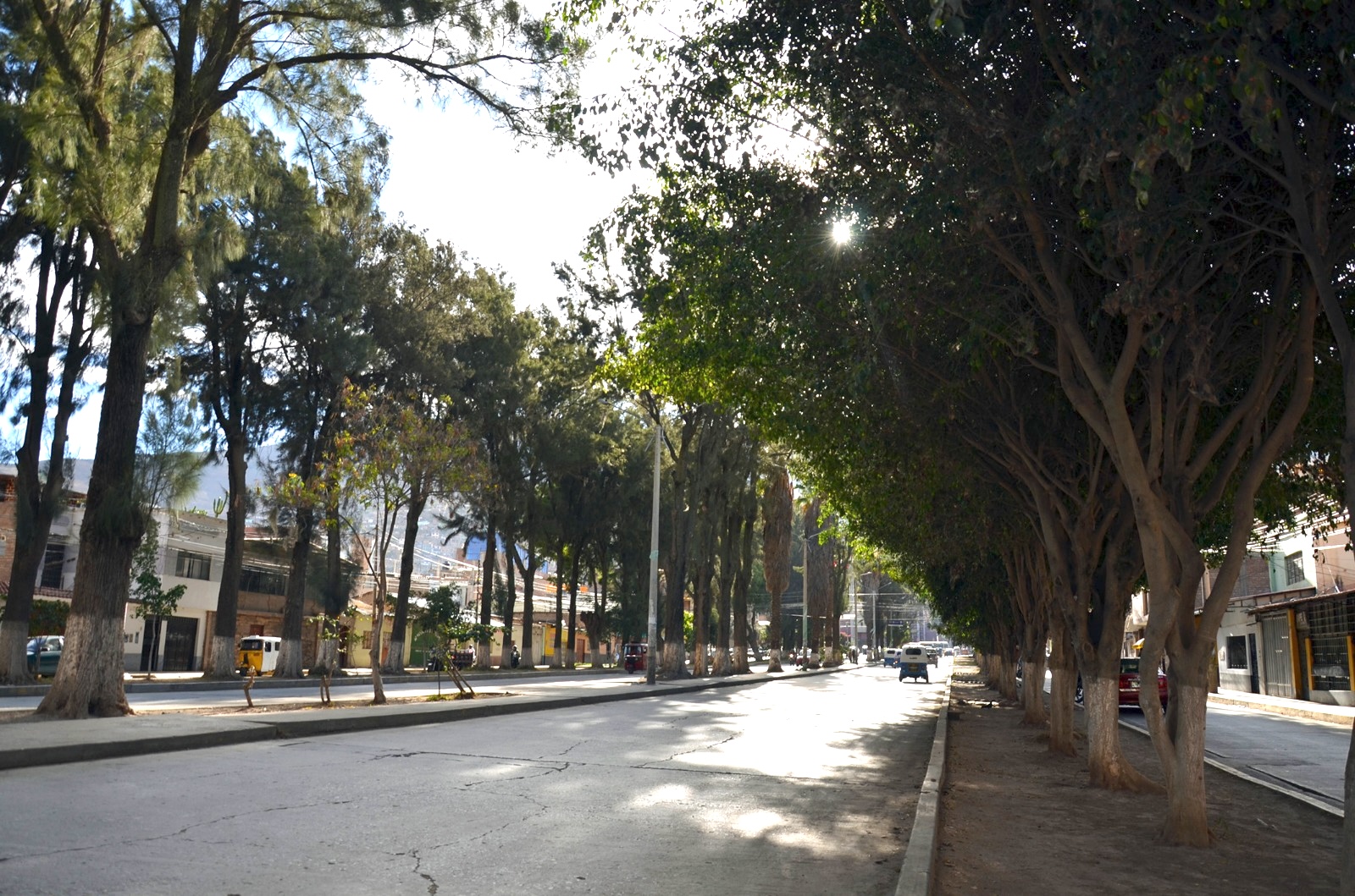 Alameda de la Republica, vista historica