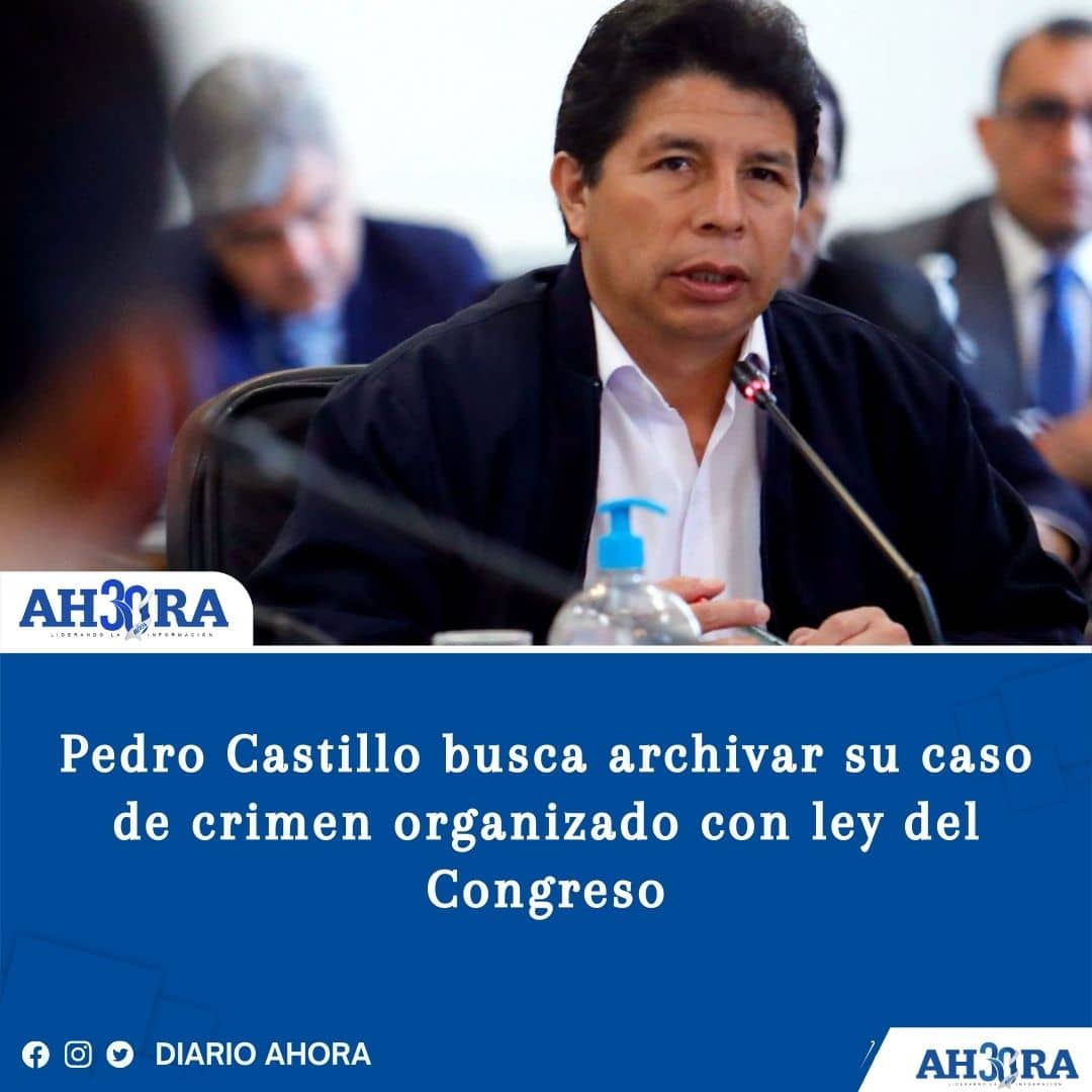 Pedro Castillo busca archivar su caso de crimen organizado con ley del Congreso