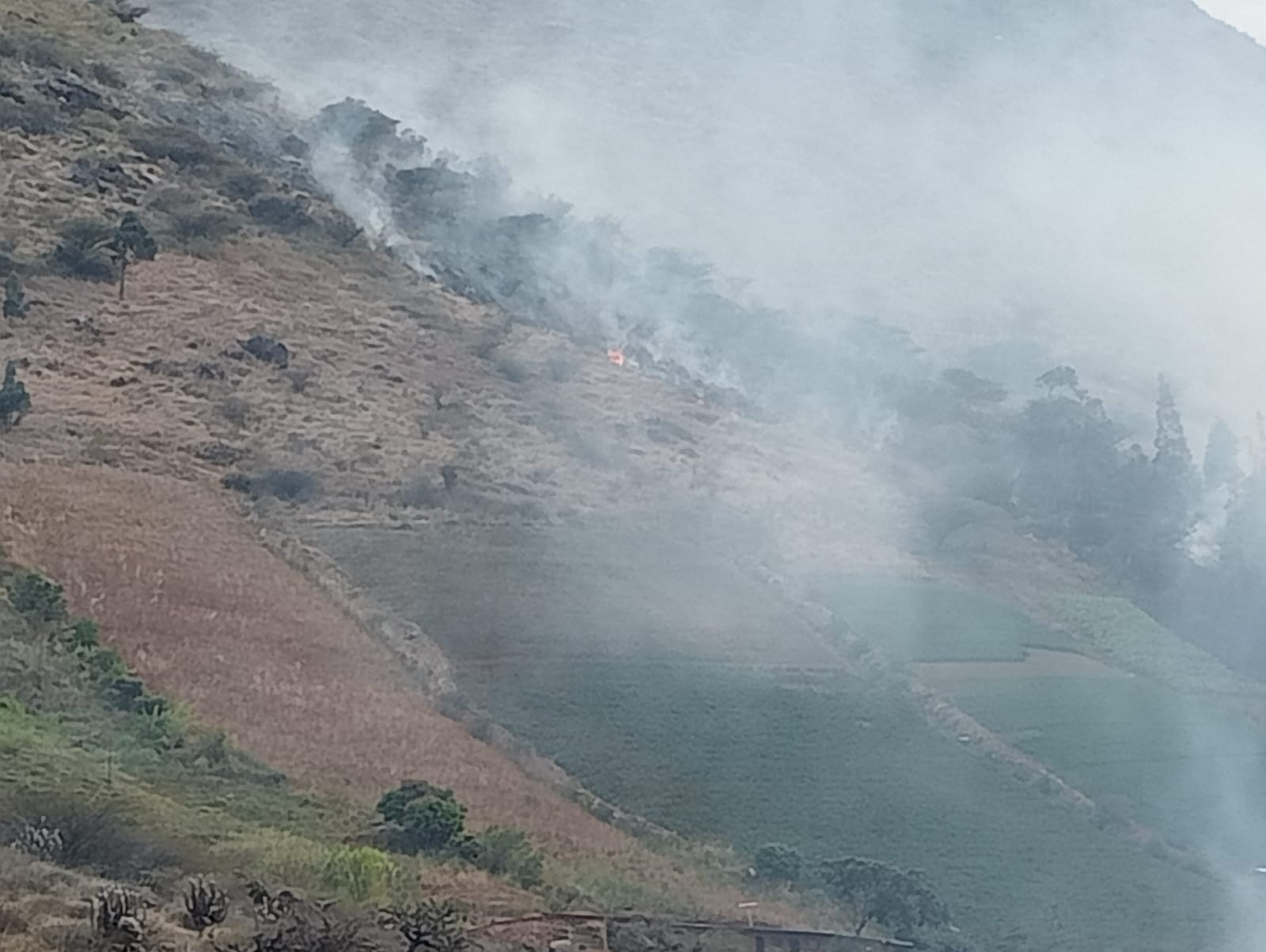 30 focos de calor: Pachitea y Marañón en riesgo por riesgo de incendios forestales
