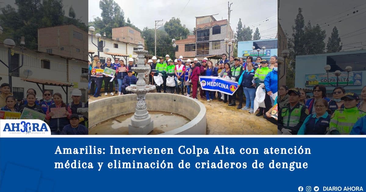 Amarilis: Autoridades intervienen Colpa Alta con atención médica y eliminación de criaderos de dengue