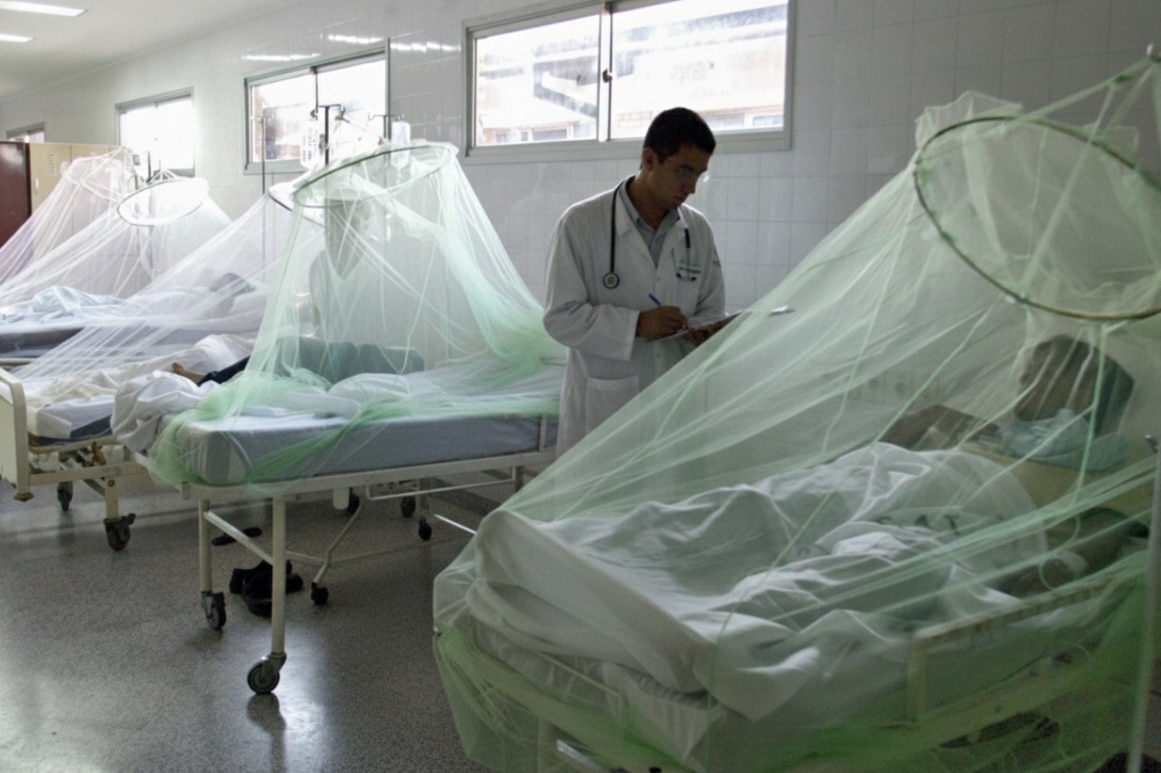 Mayoría de casos de dengue reportados en Huánuco serían importados desde Leoncio Prado y Ucayali, según Red de Salud