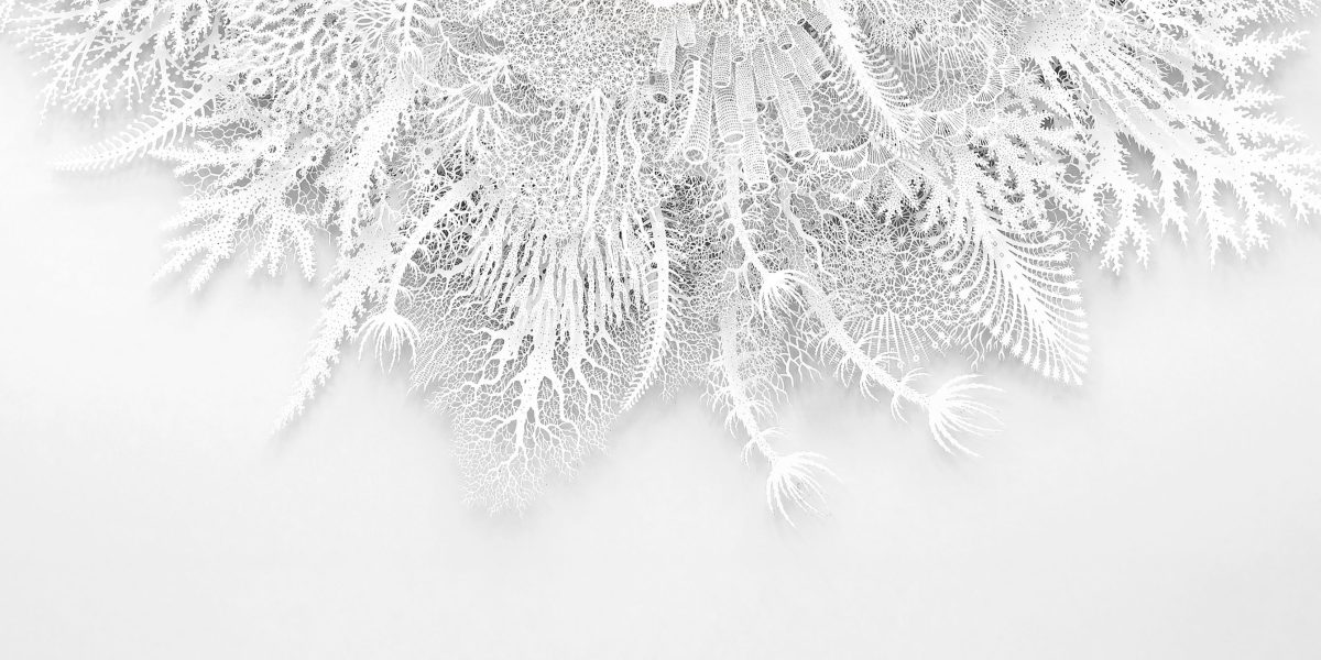 Jeff VanderMeer: Historia inédita y la IA que da miedo liberar