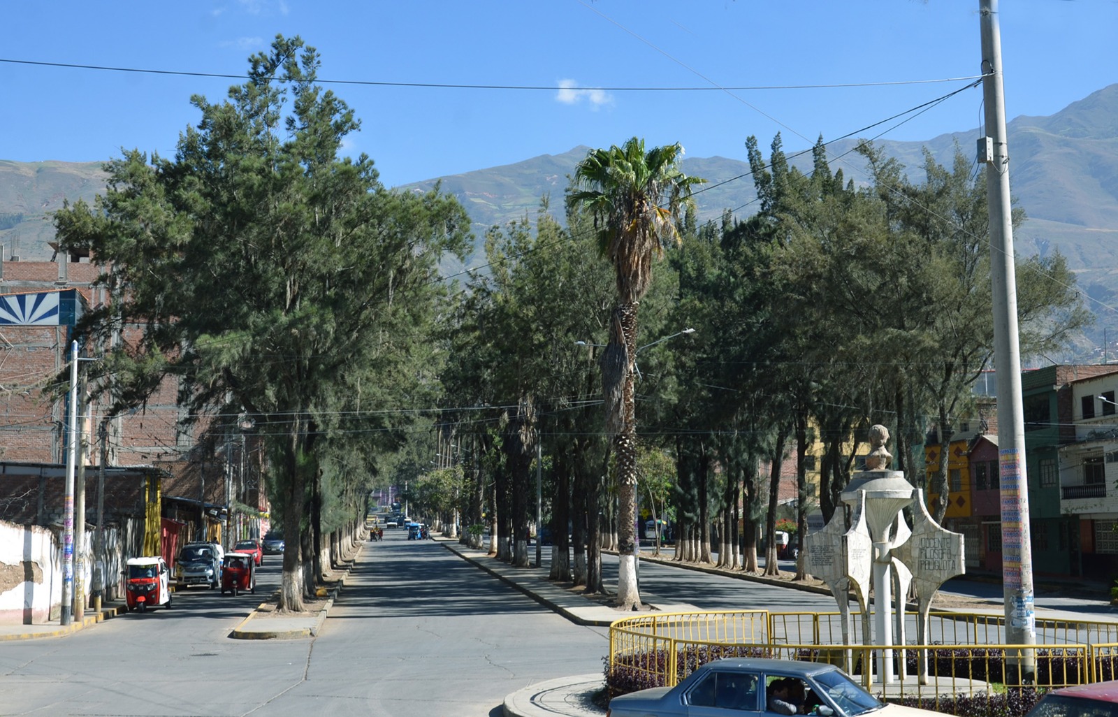 Arboles de la Alameda de la Republica